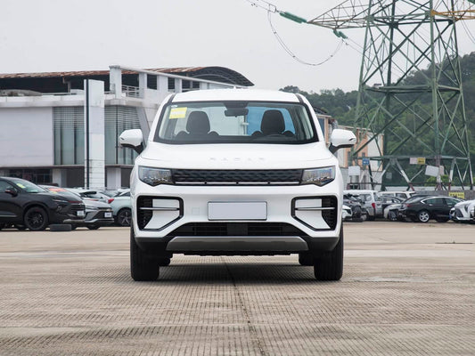 Geely Radar King Kong EM-P (Ridarra RD6 EM-P) (2025)