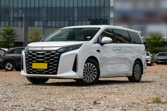 BYD Xia (2025)