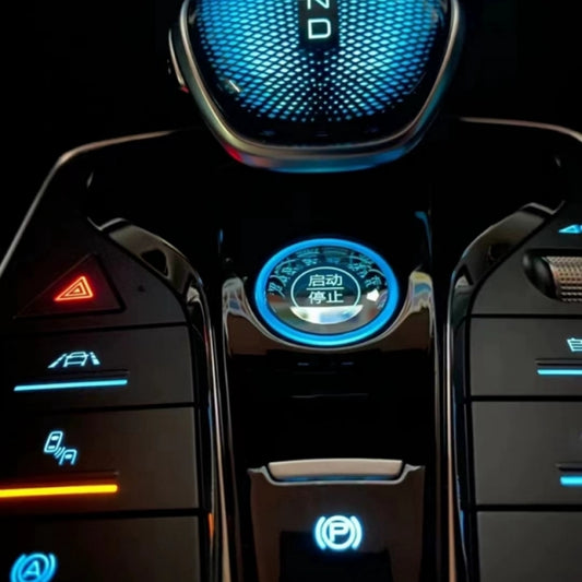 BYD Song Qin Pro Plus Dragon scale handle