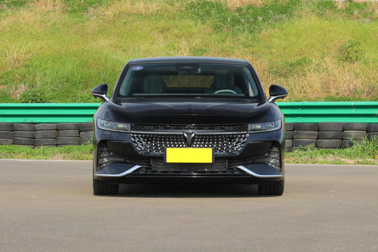 Voyah Passion (2024)