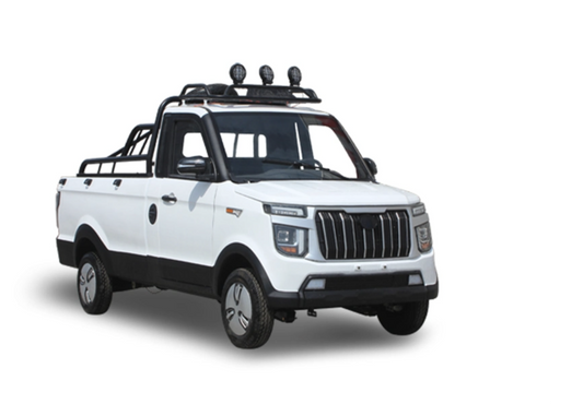 Jinpeng DS Truck (2023)