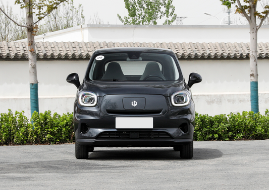 Leap Motor T03 (2024)