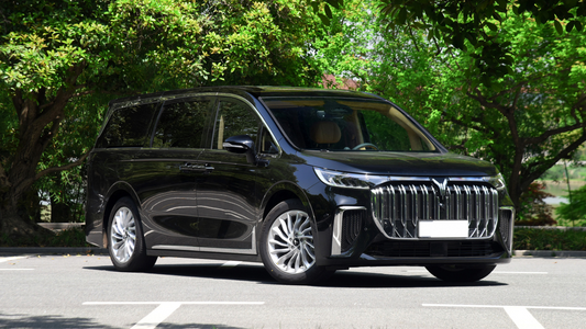 Voyah Dreamer (2022)