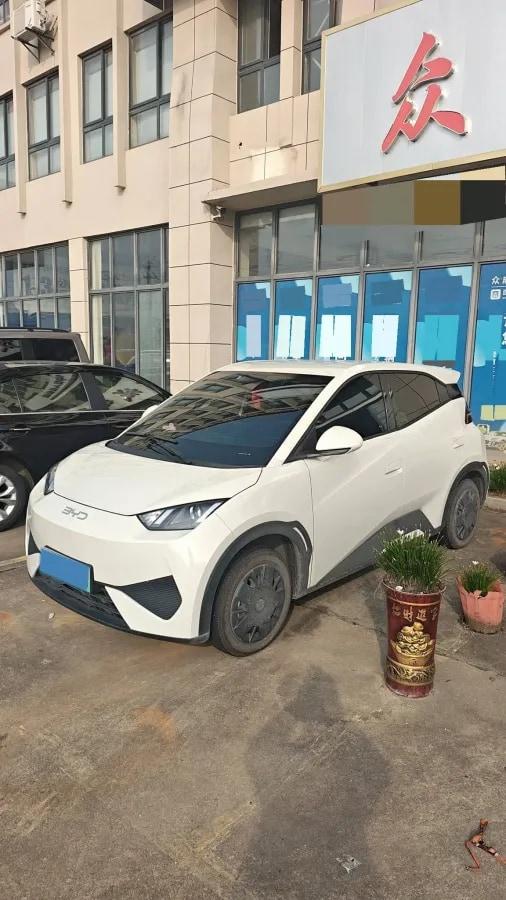 2025 BYD Seagull BEV 30.08KWH 305km image 1