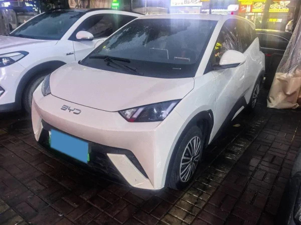 2025 BYD Seagull BEV 30.08KWH 305km image 1