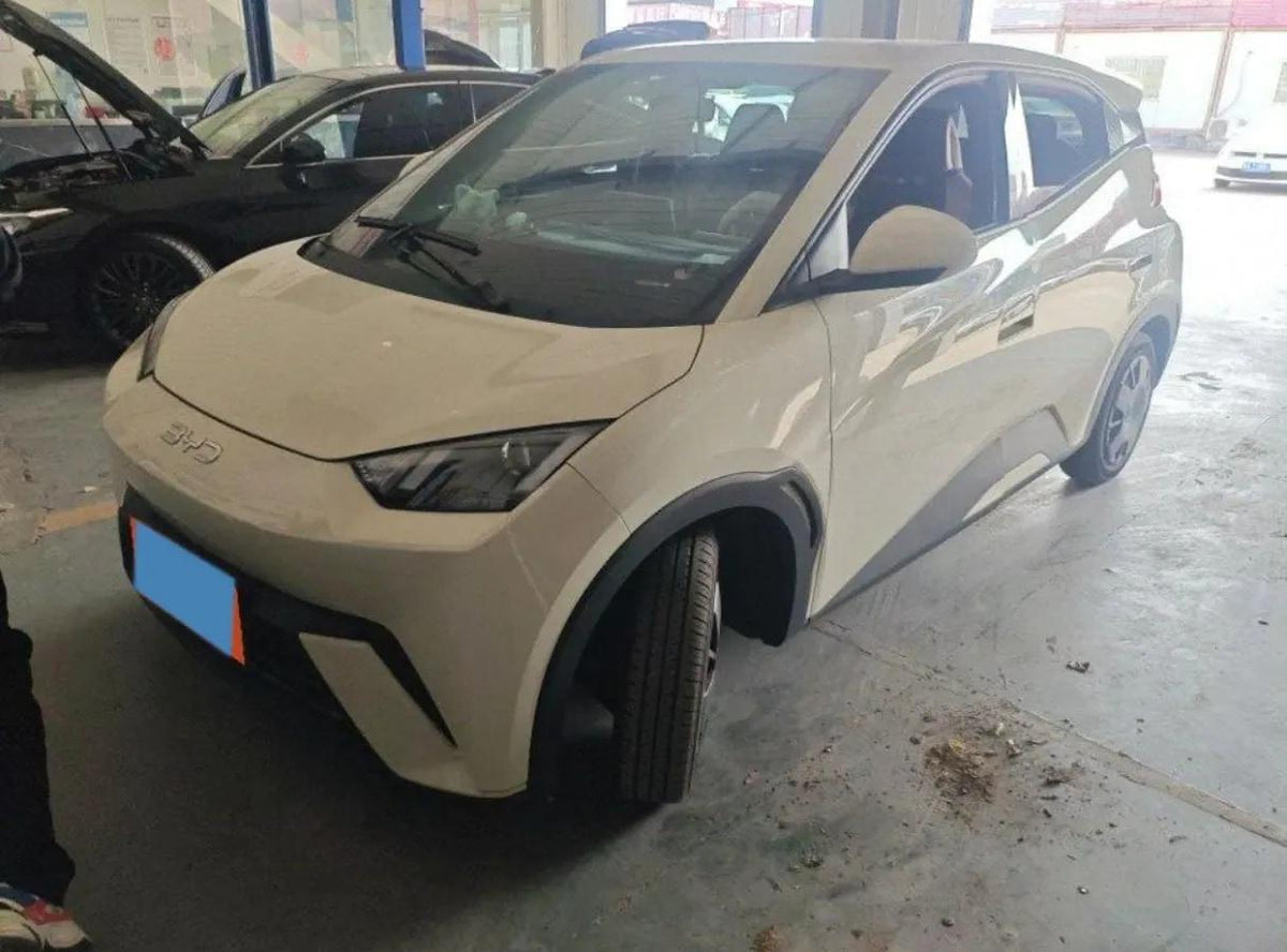 2025 BYD Seagull BEV 30.08KWH 305km image 1