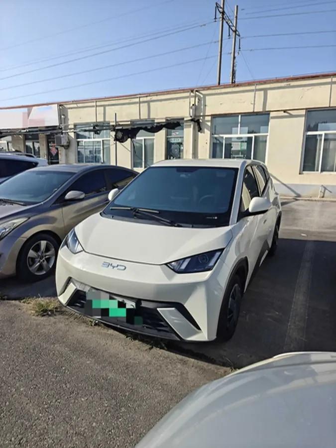 2025 BYD Seagull BEV 30.08KWH 305km image 1