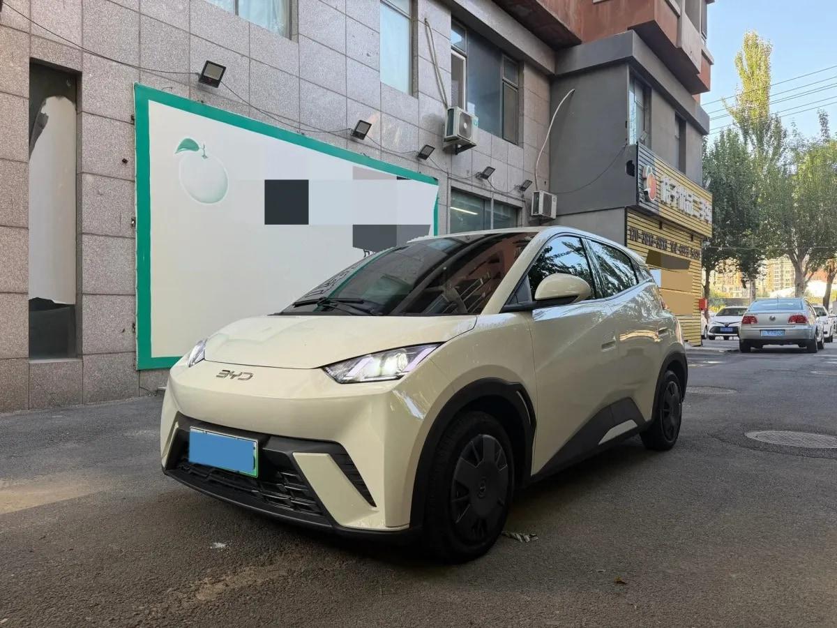 2025 BYD Seagull BEV 30.08KWH 305km image 1