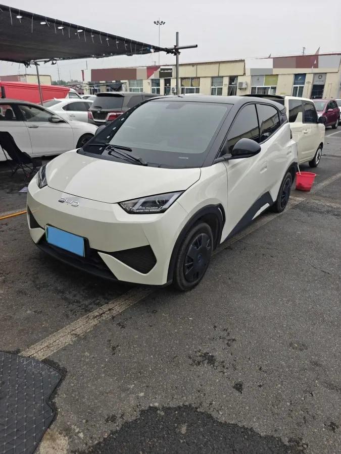 2025 BYD Seagull BEV 30.08KWH 305km image 1