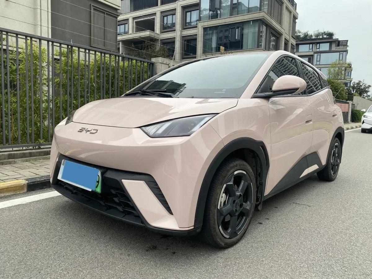 2024 BYD Seagull BEV 30.08KWH 305km image 1
