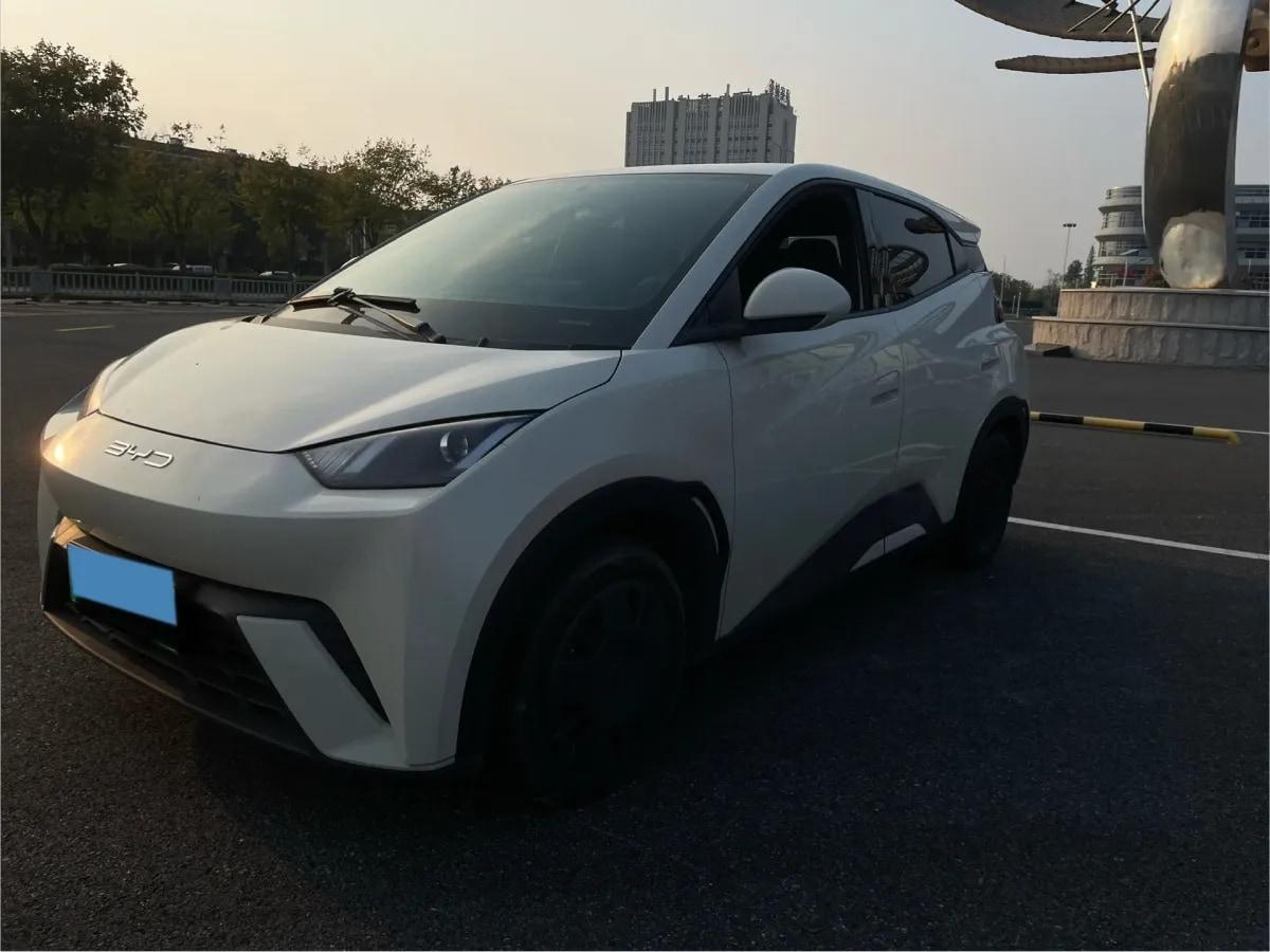 2025 BYD Seagull BEV 30.08KWH 305km image 1