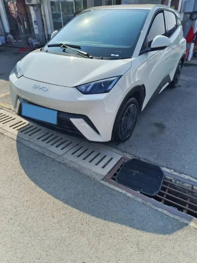 2025 BYD Seagull BEV 30.08KWH 305km image 1