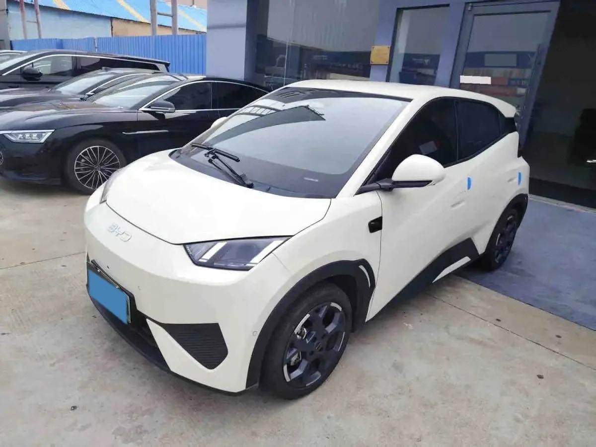 2025 BYD Seagull BEV 30.08KWH 305km image 1