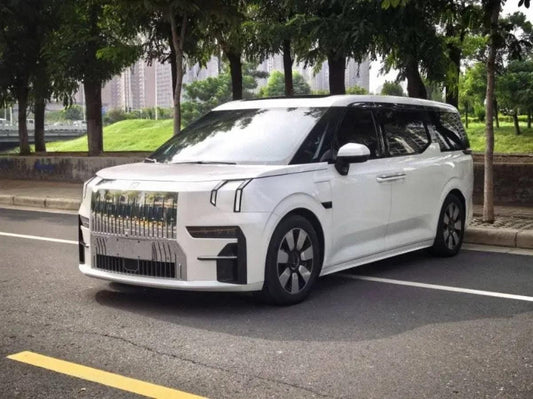 2022 Zeekr 009 BEV 116KWH 702km image 1