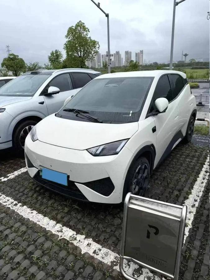2025 BYD Seagull BEV 30.08KWH 305km image 1