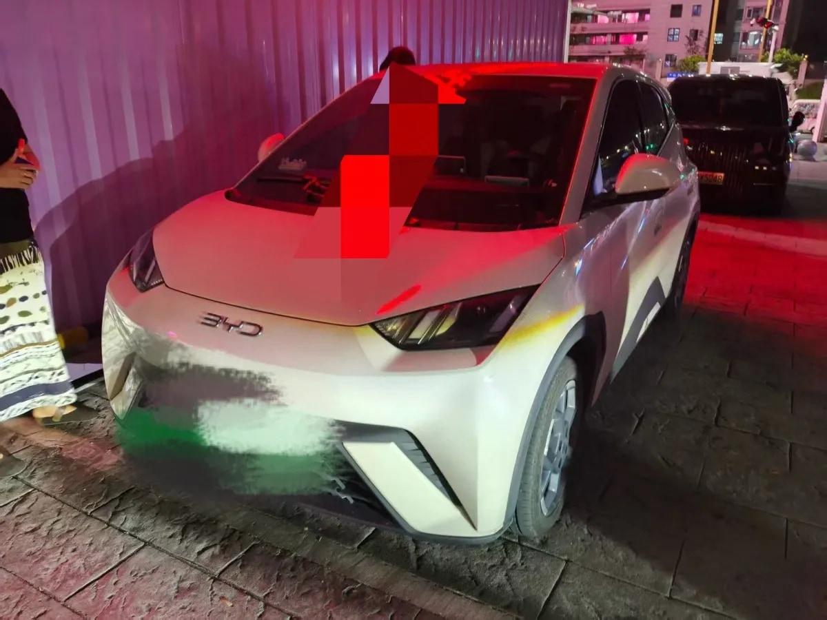 2025 BYD Seagull BEV 30.08KWH 305km image 1
