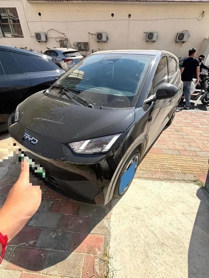 2025 BYD Seagull BEV 30.08KWH 305km image 1