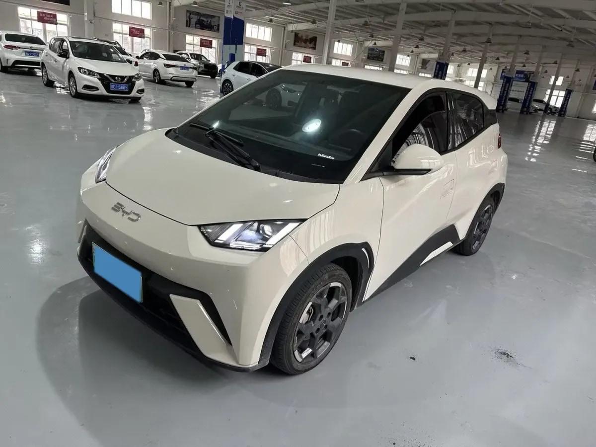 2025 BYD Seagull BEV 30.08KWH 305km image 1