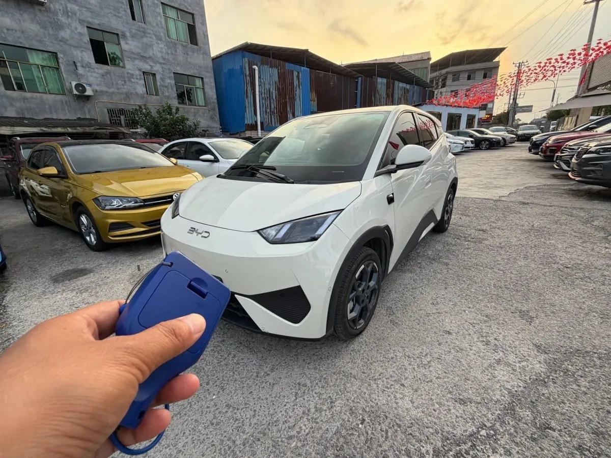 2025 BYD Seagull BEV 30.08KWH 305km image 1