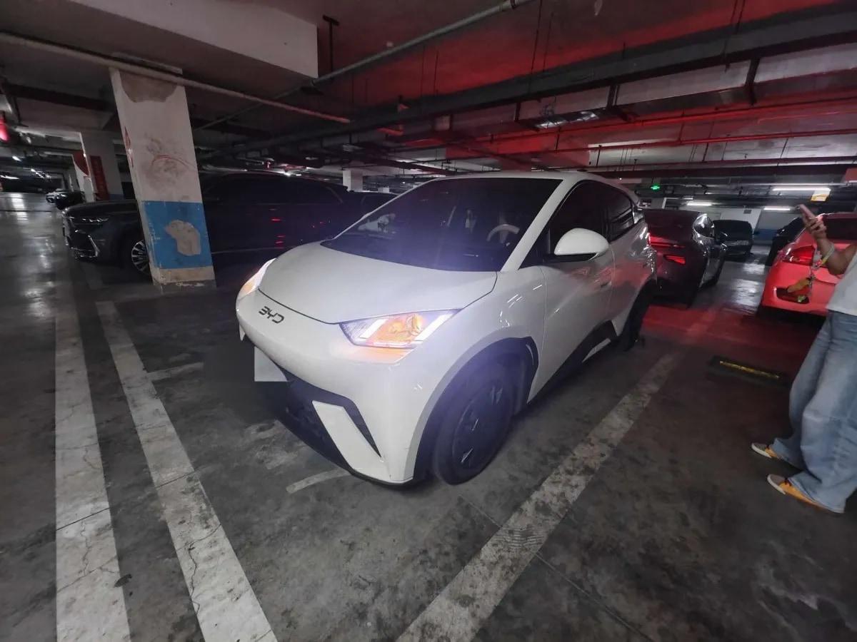 2025 BYD Seagull BEV 30.08KWH 305km image 1