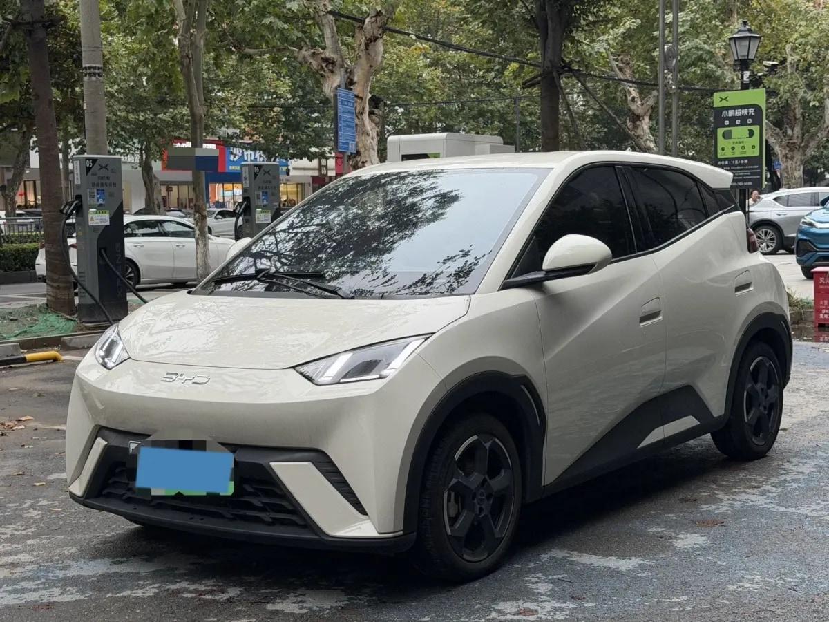 2024 BYD Seagull BEV 30.08KWH 305km image 1