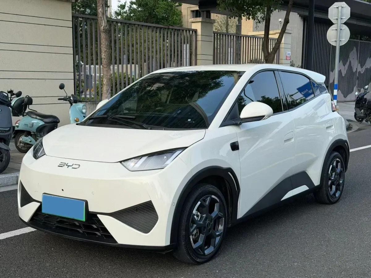 2025 BYD Seagull BEV 30.08KWH 305km image 1