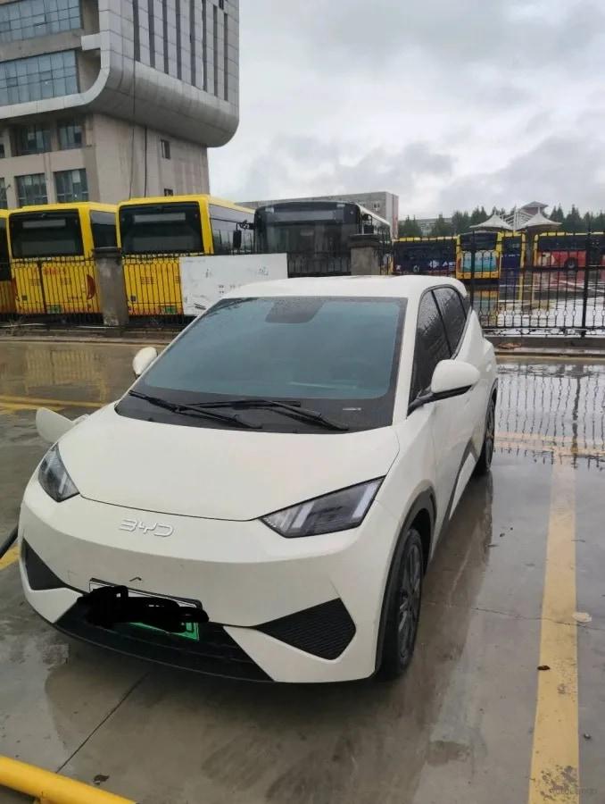 2026 BYD Seagull BEV 38.88KWH 405km image 1