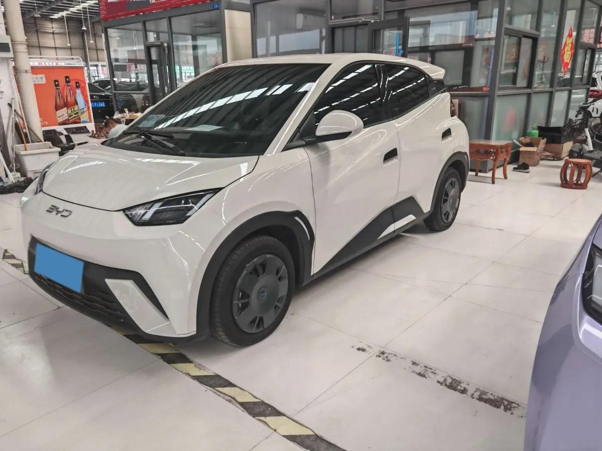 2025 BYD Seagull BEV 30.08KWH 305km image 1