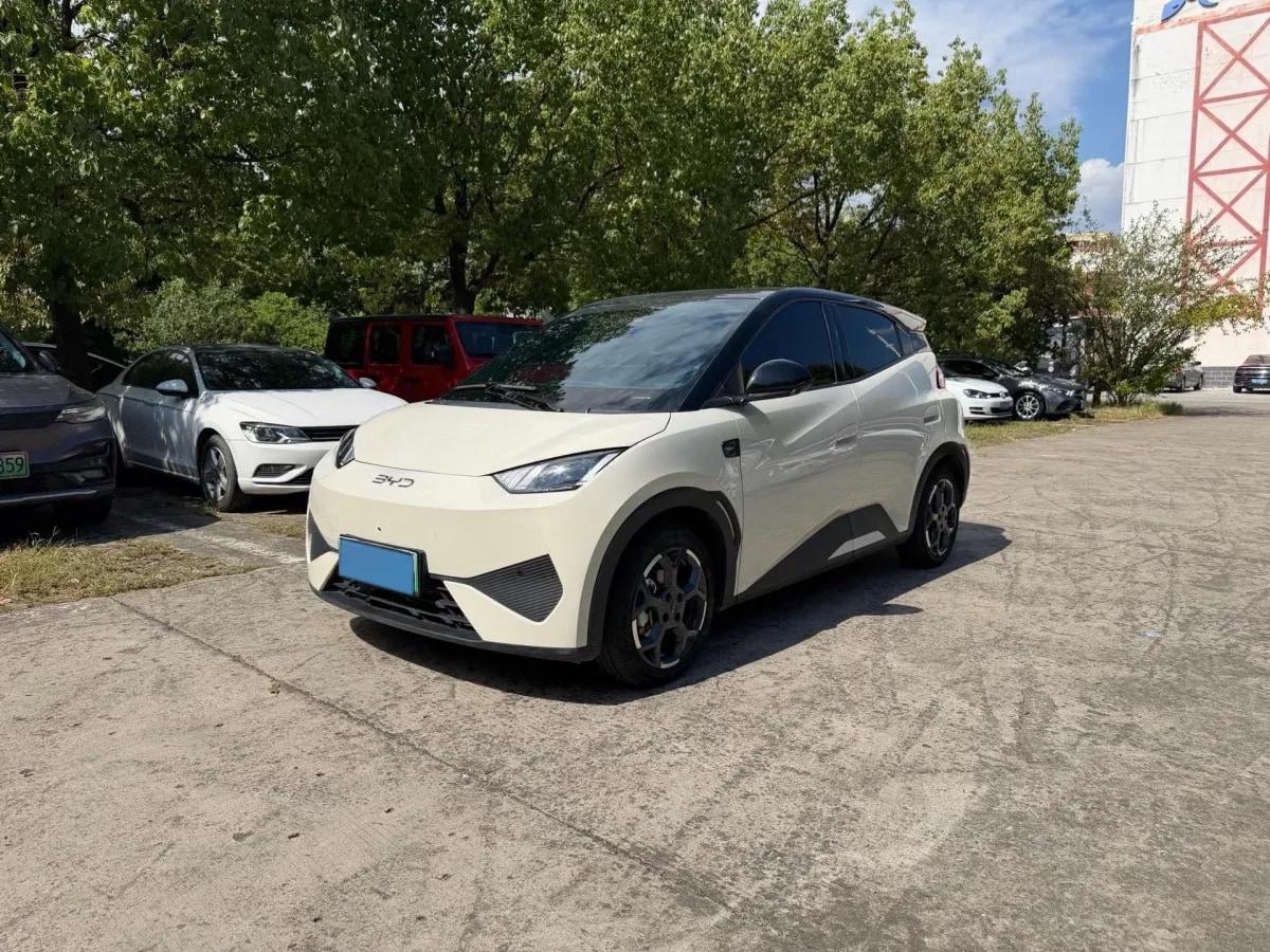 2025 BYD Seagull BEV 30.08KWH 305km image 1