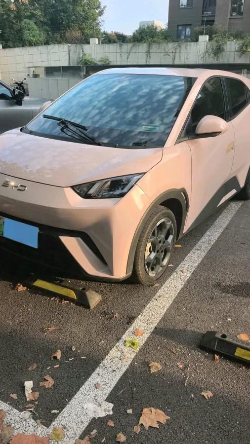 2025 BYD Seagull BEV 38.88KWH 405km image 1