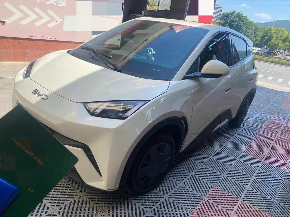 2025 BYD Seagull BEV 30.08KWH 305km image 1
