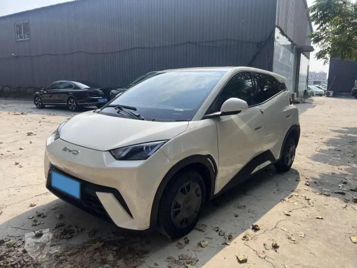 2023 BYD Seagull BEV 38.88KWH 405km image 1