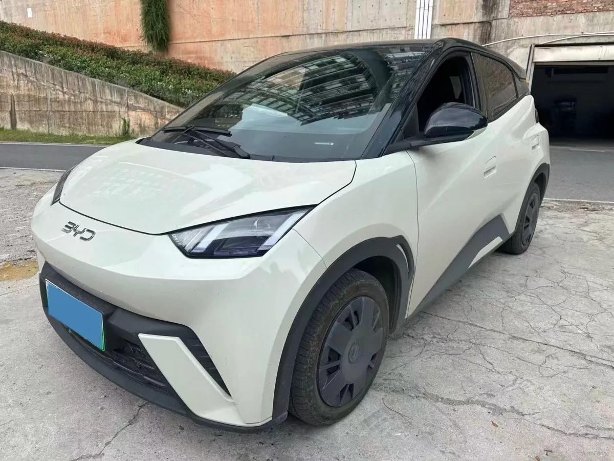 2025 BYD Seagull BEV 30.08KWH 305km image 1