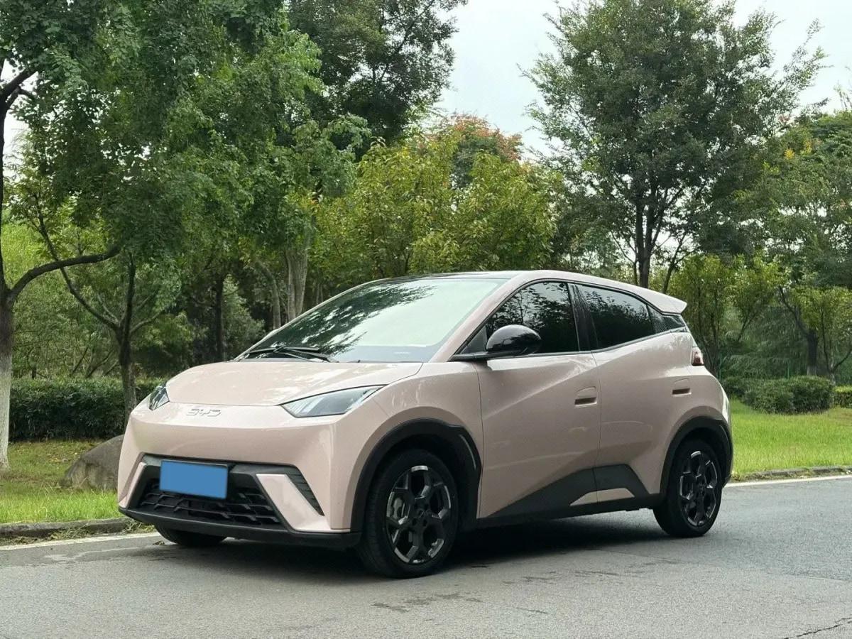 2025 BYD Seagull BEV 30.08KWH 305km image 1