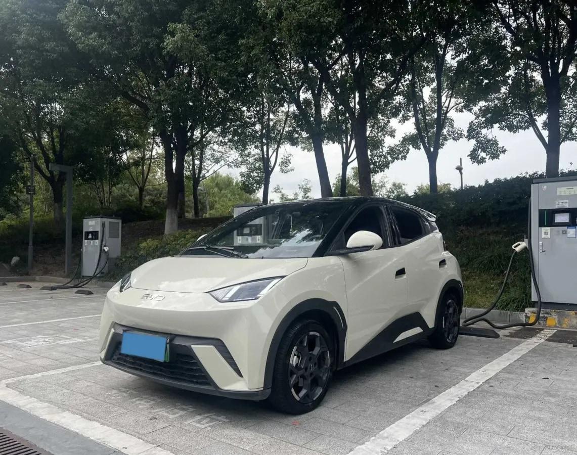 2025 BYD Seagull BEV 30.08KWH 305km image 1