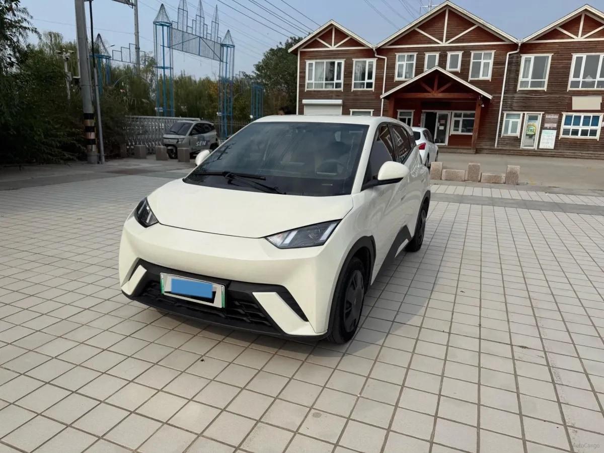 2024 BYD Seagull BEV 30.08KWH 305km image 1