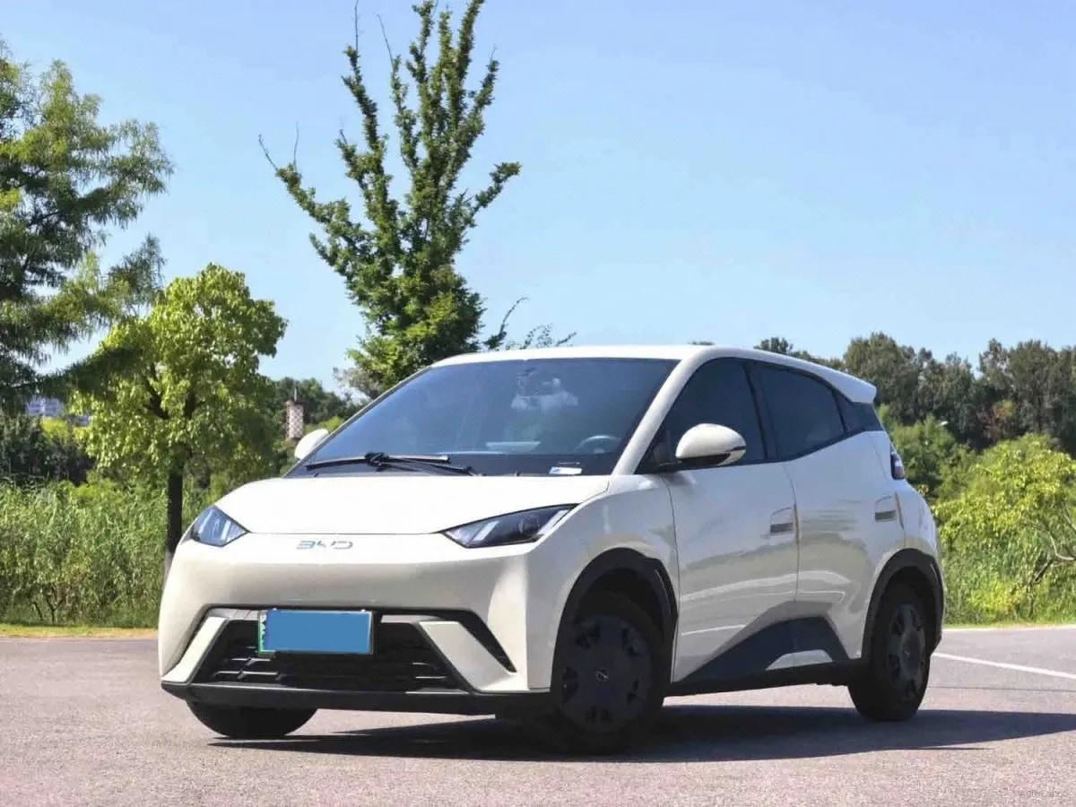 2024 BYD Seagull BEV 38.88KWH 405km image 1