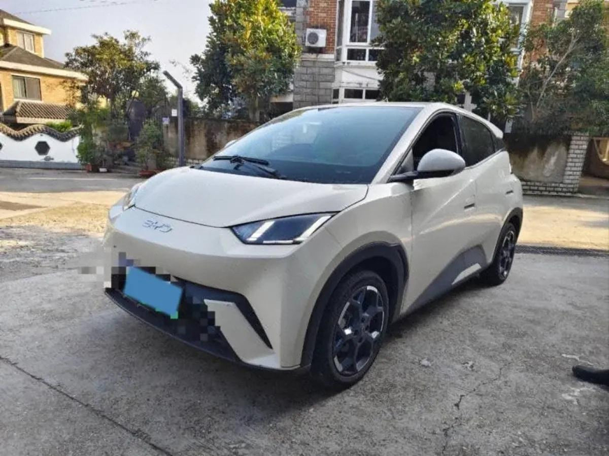 2024 BYD Seagull BEV 30.08KWH 305km image 1