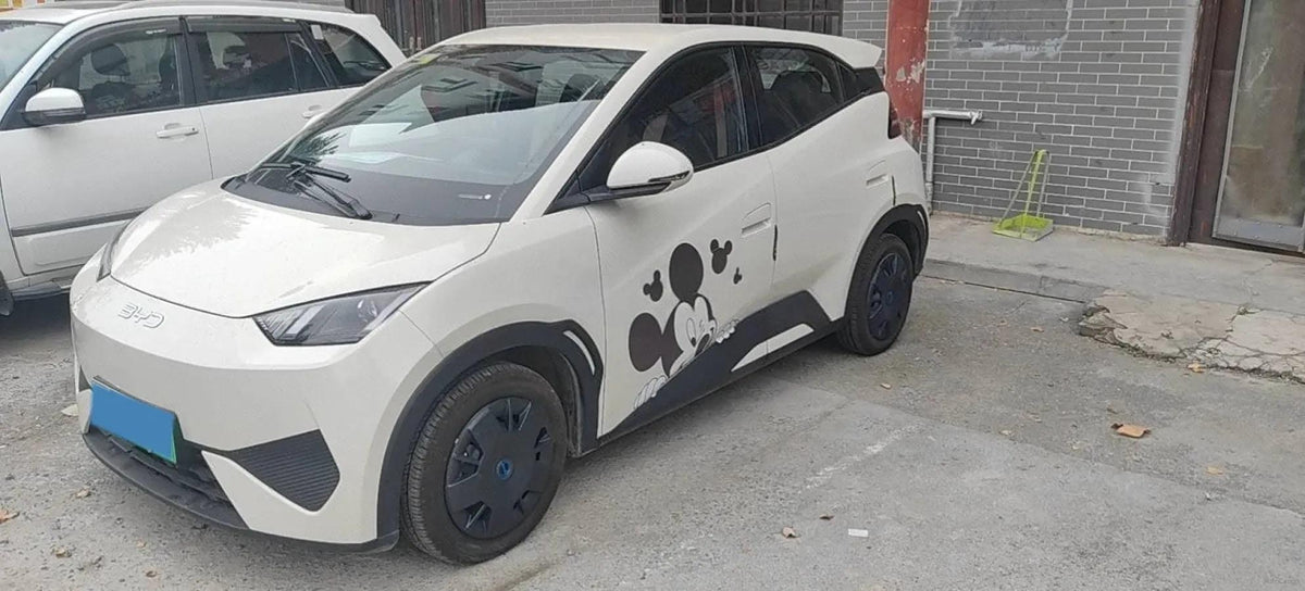 2025 BYD Seagull BEV 30.08KWH 305km image 1