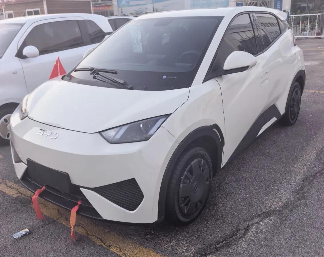2025 BYD Seagull BEV 30.08KWH 305km image 1