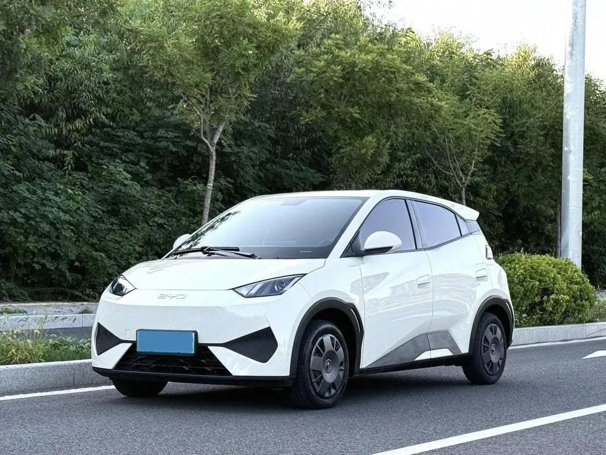 2025 BYD Seagull BEV 30.08KWH 305km image 1