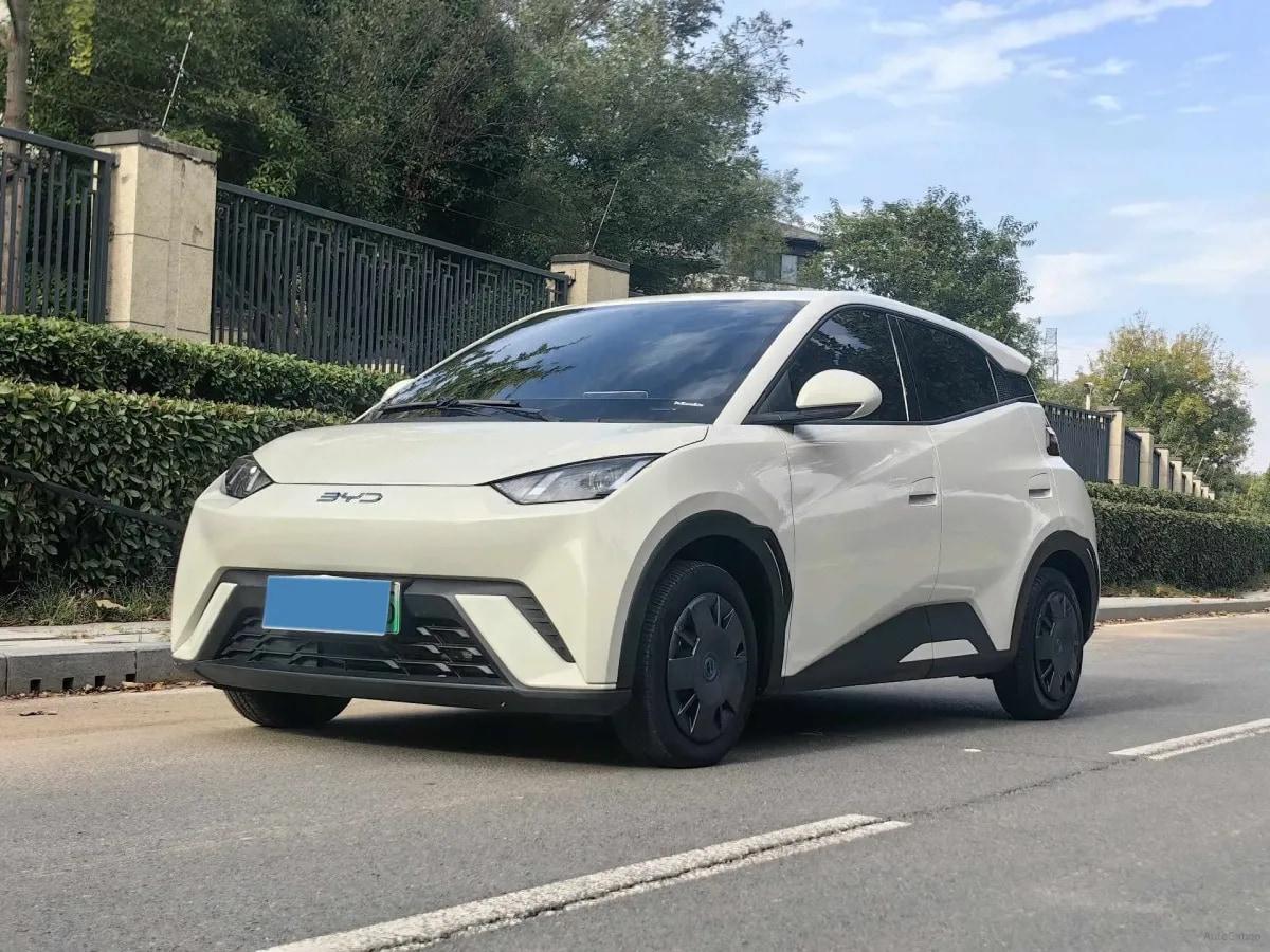 2025 BYD Seagull BEV 30.08KWH 305km image 1