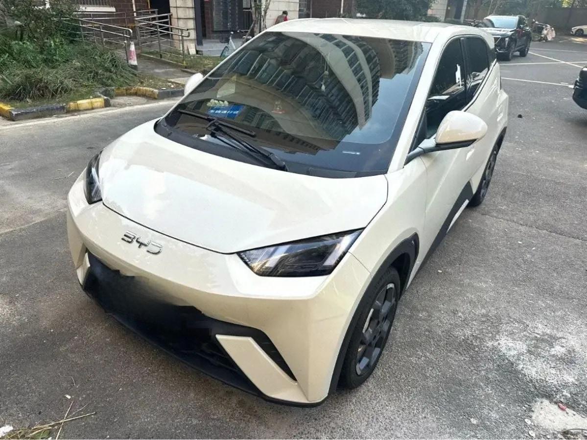 2025 BYD Seagull BEV 30.08KWH 305km image 1