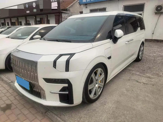 2022 Zeekr 009 BEV 116KWH 702km image 1
