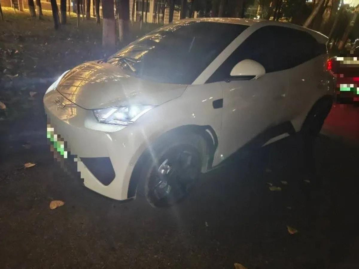 2025 BYD Seagull BEV 30.08KWH 305km image 1