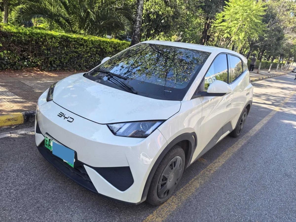 2025 BYD Seagull BEV 30.08KWH 305km image 1