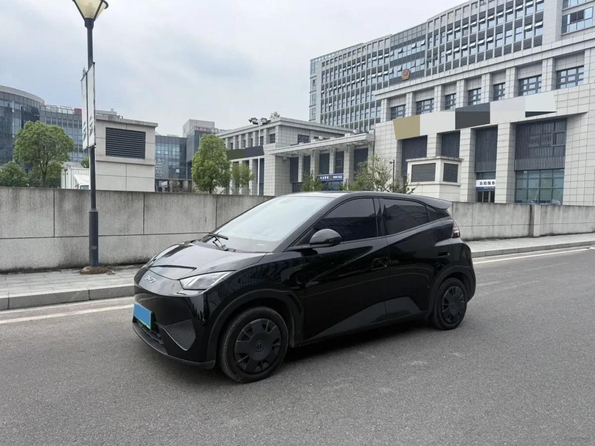 2025 BYD Seagull BEV 30.08KWH 305km image 1