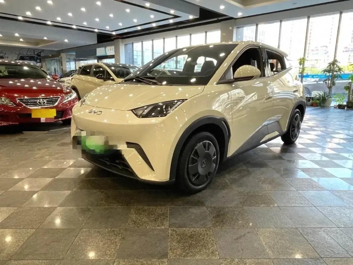 2024 BYD Seagull BEV 30.08KWH 305km image 1