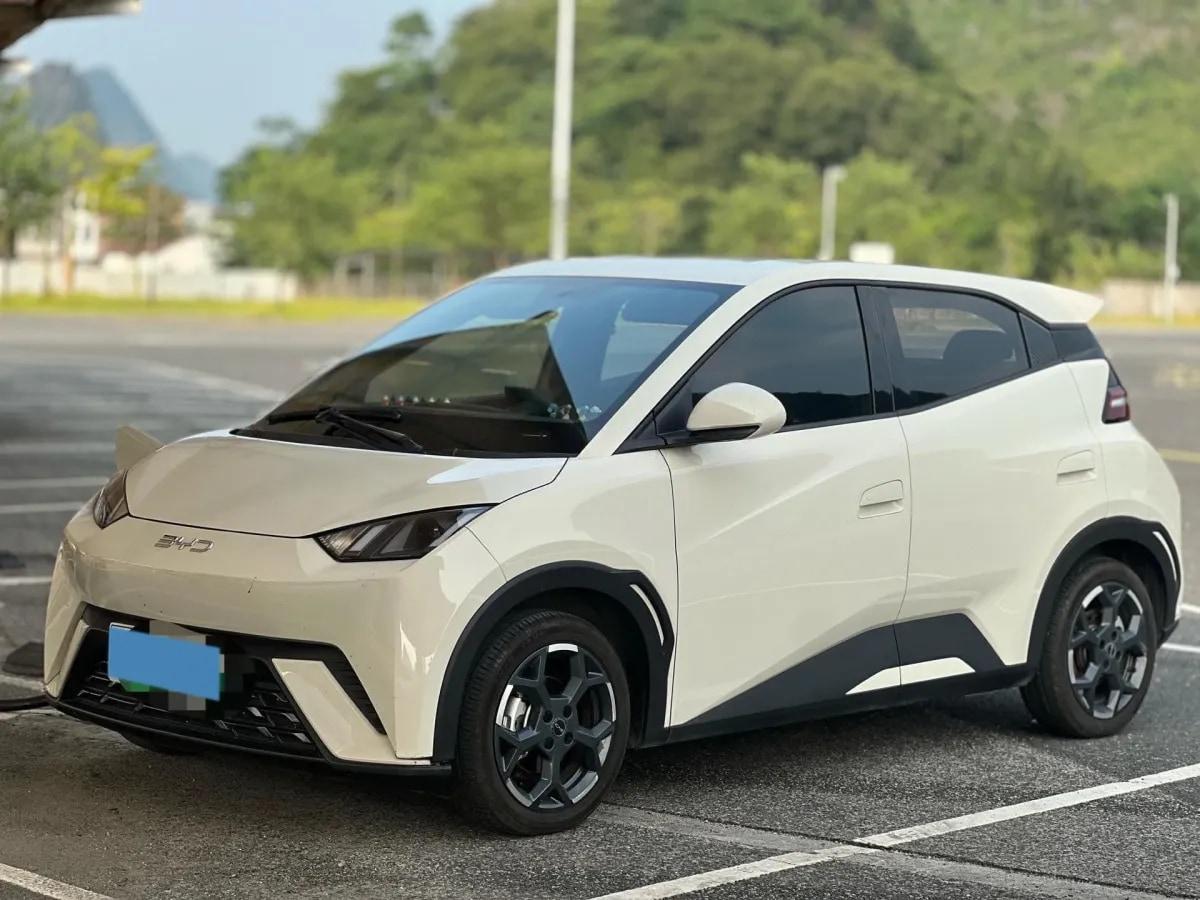 2025 BYD Seagull BEV 30.08KWH 305km image 1