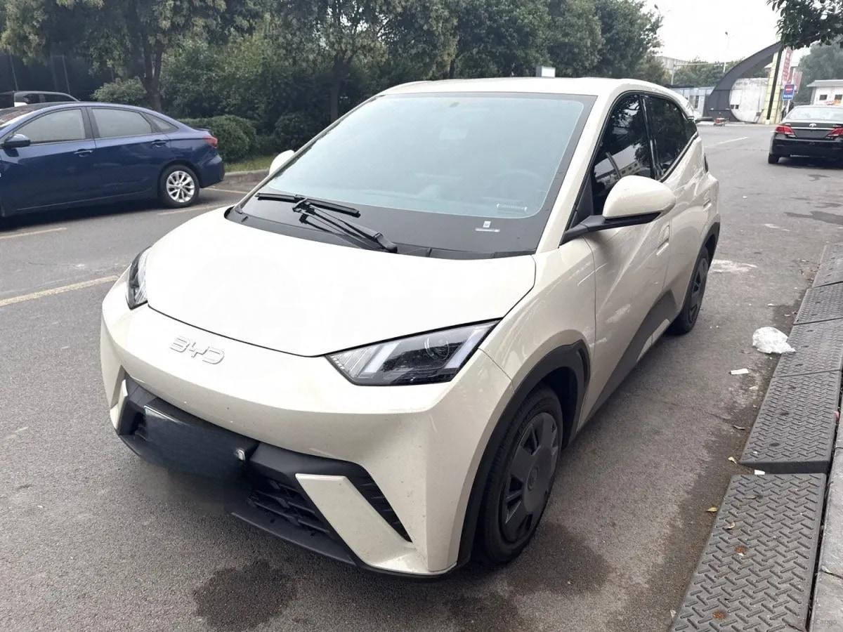 2025 BYD Seagull BEV 30.08KWH 305km image 1